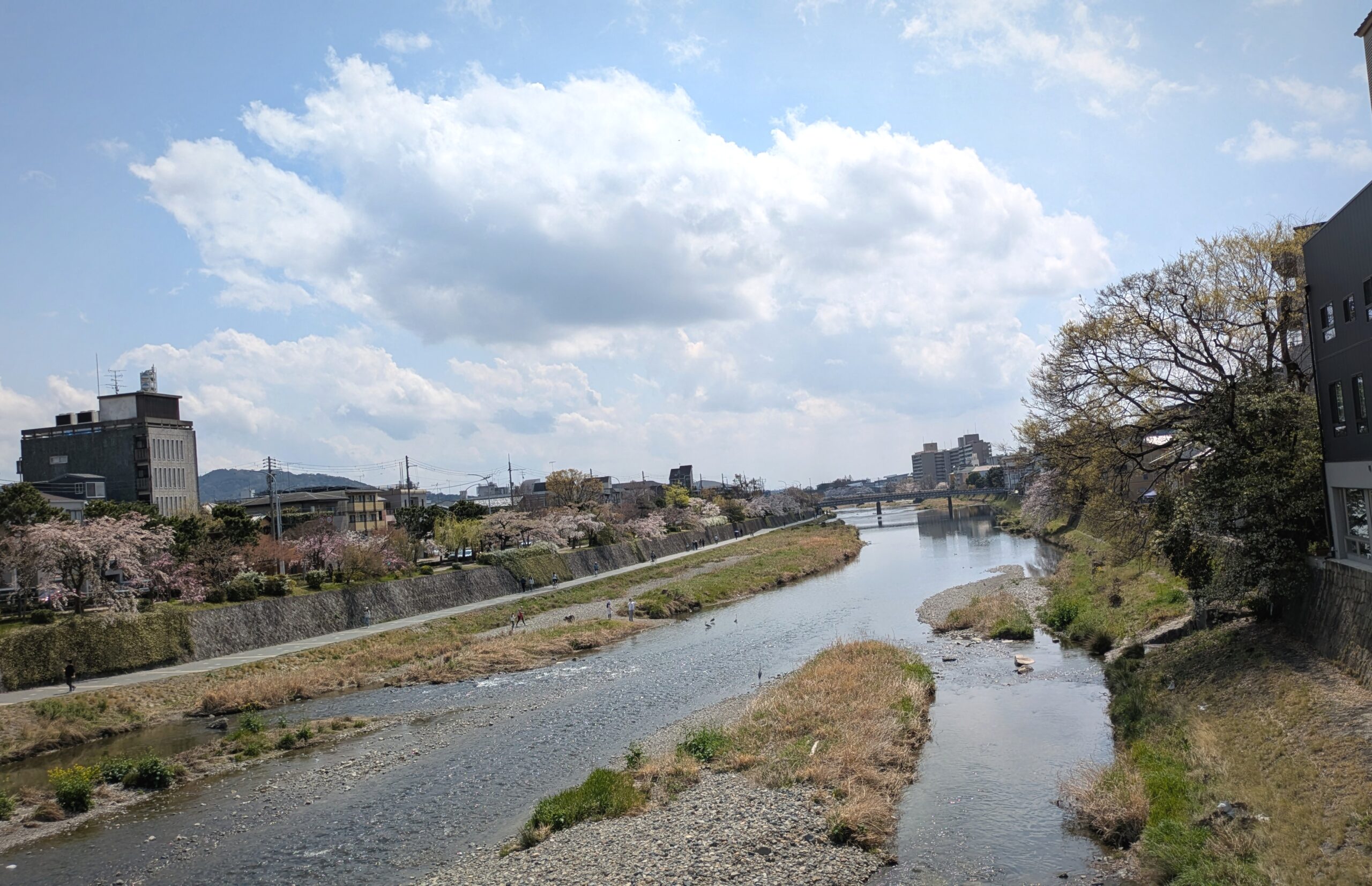 春の京都 6
